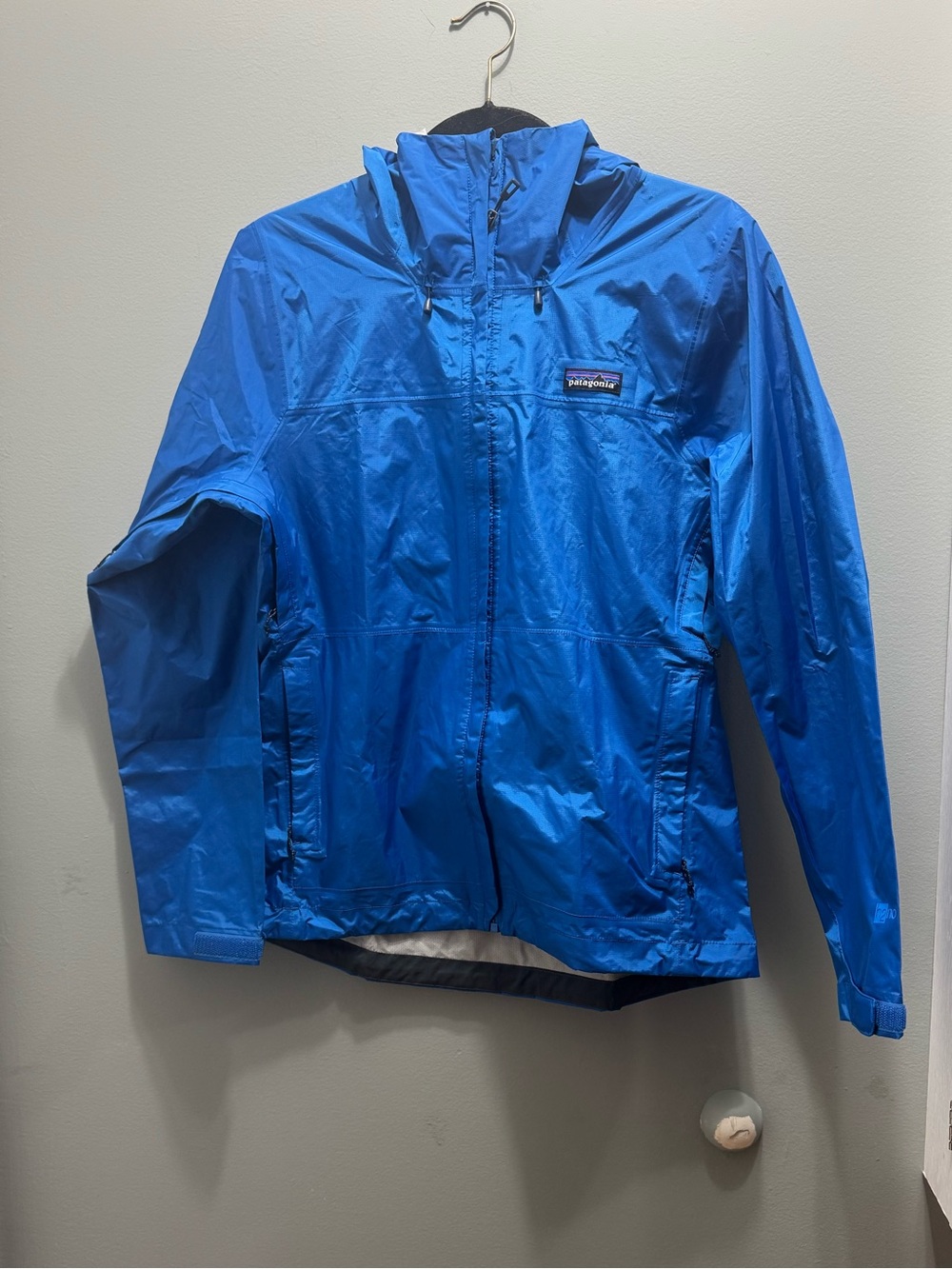 Patagonia Bright Blue Women's Hooded Ski Jacket
